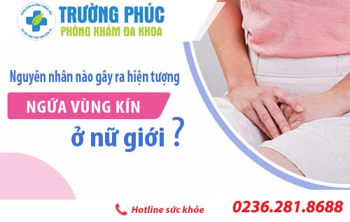 Nguyên nhân nào gây ra hiện tượng ngứa vùng kín ở nữ giới?
