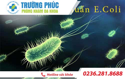 Nguyên nhân viêm đường tiết niệu