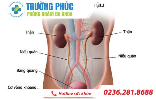 nguyen nhan gay viem duong tiet nieu o nu gioi