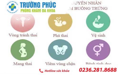 dau hieu viem buong trung