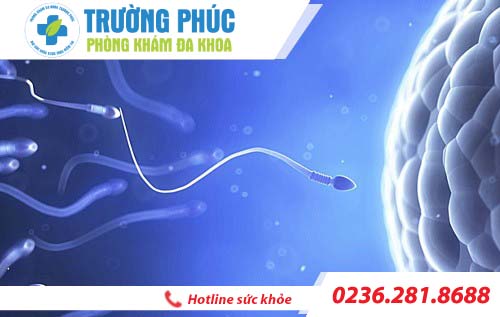 Quy trình khám và điều trị vô sinh hiếm muộn tại Đà Nẵng