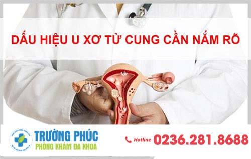 Triệu chứng và nguyên nhân của bệnh u xơ tử cung là gì?